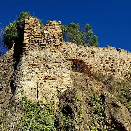 El Forn D'alcudia De Veo