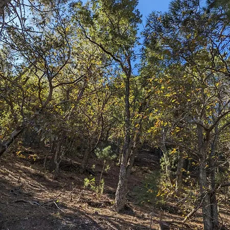 El Forn D'alcudia De Veo Casa di campagna Alcudia de Veo